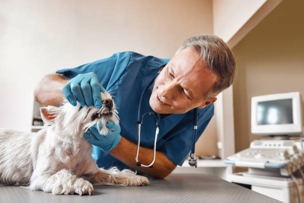 Best Emergency Treatment for Jaw Pain or Injury in Basye, VA